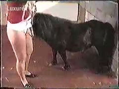 Worked up amateur wife engulfing and fucking her recent mini horse